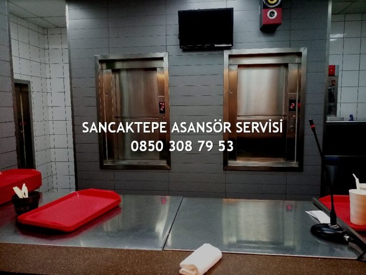 Sancaktepe Asansör Servisi